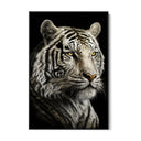 Quadro Stampa su Tela La Tigre Bianca - CupidoDesign