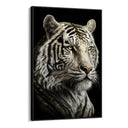 Quadro Stampa su Tela La Tigre Bianca - CupidoDesign