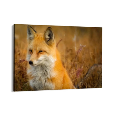 Quadro Stampa su Tela Libero dal branco - CupidoDesign