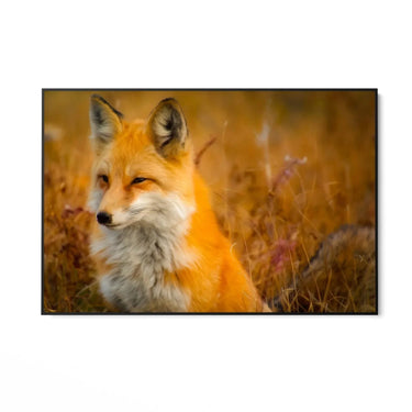 Quadro Stampa su Tela Libero dal branco - CupidoDesign