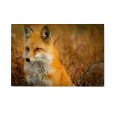 Quadro Stampa su Tela Libero dal branco - CupidoDesign