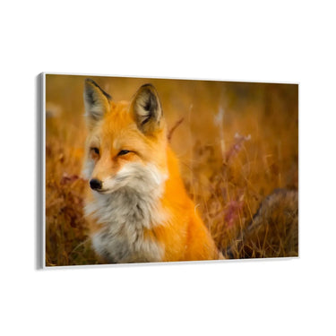 Quadro Stampa su Tela Libero dal branco - CupidoDesign