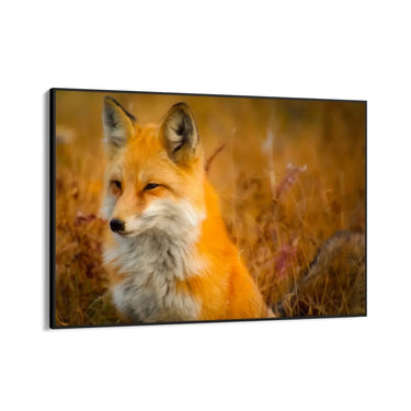 Quadro Stampa su Tela Libero dal branco - CupidoDesign