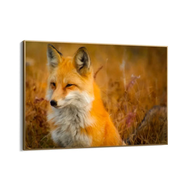 Quadro Stampa su Tela Libero dal branco - CupidoDesign