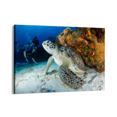 Quadro Stampa su Tela Melodia tra i Coralli - CupidoDesign