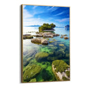 Quadro Stampa su Tela Oasi oceanica - CupidoDesign