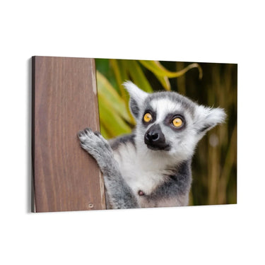 Quadro Stampa su Tela Occhi Curiosi - CupidoDesign