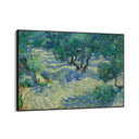 Quadro Stampa su Tela Olive Orchard 1889, Vincent Van Gogh - CupidoDesign
