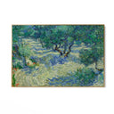 Quadro Stampa su Tela Olive Orchard 1889, Vincent Van Gogh - CupidoDesign