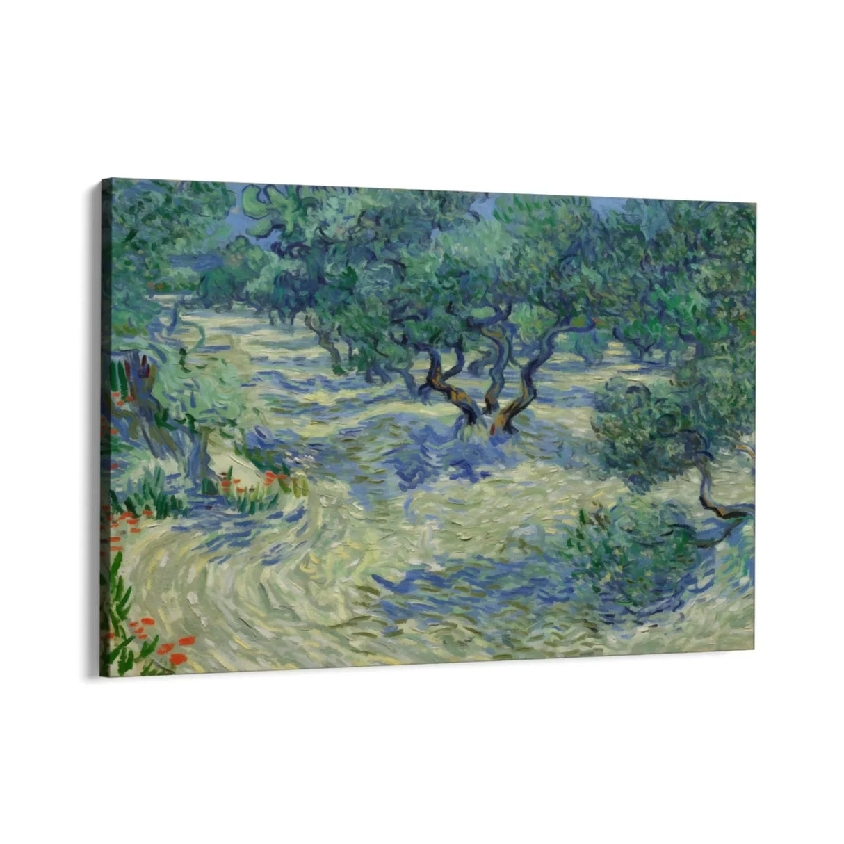 Quadro Stampa su Tela Olive Orchard 1889, Vincent Van Gogh - CupidoDesign