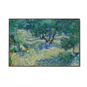 Quadro Stampa su Tela Olive Orchard 1889, Vincent Van Gogh - CupidoDesign
