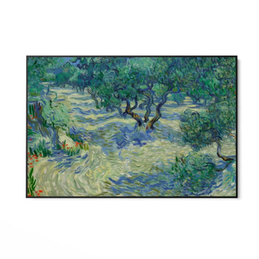 Quadro Stampa su Tela Olive Orchard 1889, Vincent Van Gogh - CupidoDesign