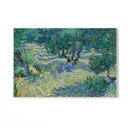 Quadro Stampa su Tela Olive Orchard 1889, Vincent Van Gogh - CupidoDesign