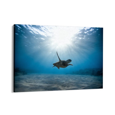 Quadro Stampa su Tela Oltre il Corallo - CupidoDesign
