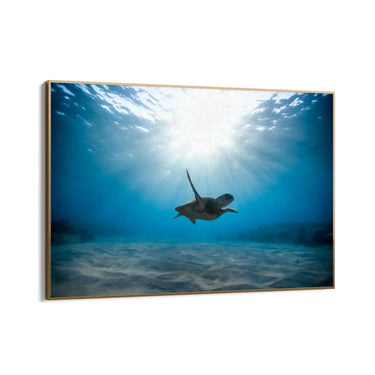 Quadro Stampa su Tela Oltre il Corallo - CupidoDesign