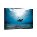 Quadro Stampa su Tela Oltre il Corallo - CupidoDesign