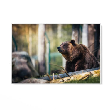 Quadro Stampa su Tela Oltre la Notte - CupidoDesign