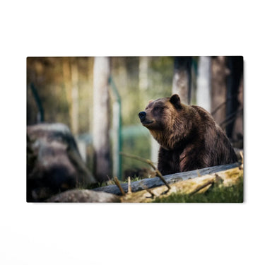 Quadro Stampa su Tela Oltre la Notte - CupidoDesign