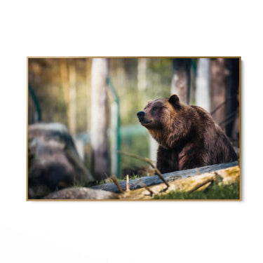 Quadro Stampa su Tela Oltre la Notte - CupidoDesign