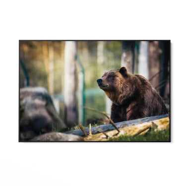 Quadro Stampa su Tela Oltre la Notte - CupidoDesign