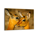 Quadro Stampa su Tela Oltre la Savana - CupidoDesign