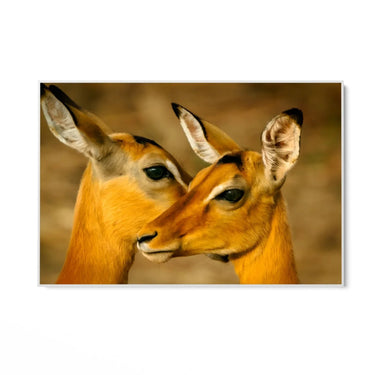 Quadro Stampa su Tela Oltre la Savana - CupidoDesign