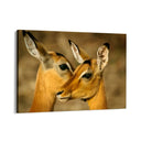 Quadro Stampa su Tela Oltre la Savana - CupidoDesign