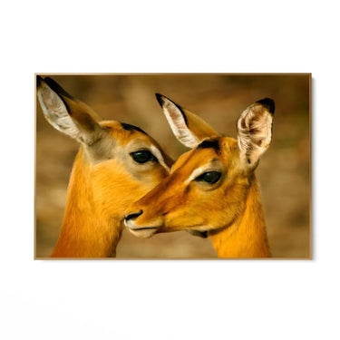 Quadro Stampa su Tela Oltre la Savana - CupidoDesign