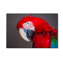 Oltre le Ombre - CupidoDesign