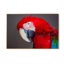 Quadro Stampa su Tela Oltre le Ombre - CupidoDesign