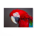 Quadro Stampa su Tela Oltre le Ombre - CupidoDesign