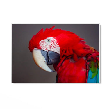 Quadro Stampa su Tela Oltre le Ombre - CupidoDesign