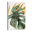 Quadro Stampa su Tela Orchidea Tropicale - CupidoDesign