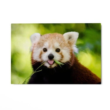 Quadro Stampa su Tela Orecchie Curiose - CupidoDesign