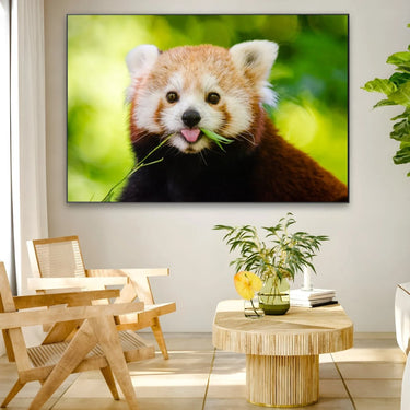 Quadro Stampa su Tela Orecchie Curiose - CupidoDesign