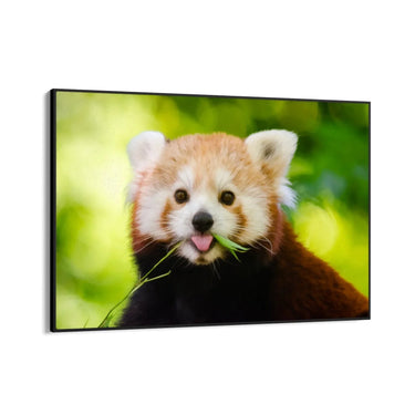 Quadro Stampa su Tela Orecchie Curiose - CupidoDesign