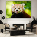 Quadro Stampa su Tela Orecchie Curiose - CupidoDesign