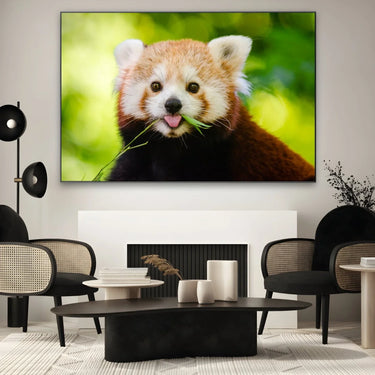 Quadro Stampa su Tela Orecchie Curiose - CupidoDesign