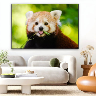 Quadro Stampa su Tela Orecchie Curiose - CupidoDesign