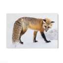 Quadro Stampa su Tela Passi nella Neve - CupidoDesign