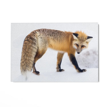 Quadro Stampa su Tela Passi nella Neve - CupidoDesign