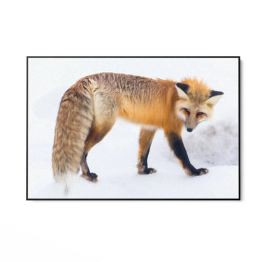 Quadro Stampa su Tela Passi nella Neve - CupidoDesign