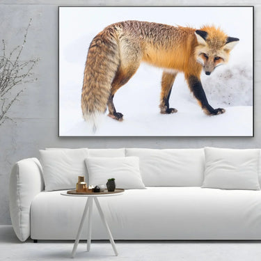 Quadro Stampa su Tela Passi nella Neve - CupidoDesign