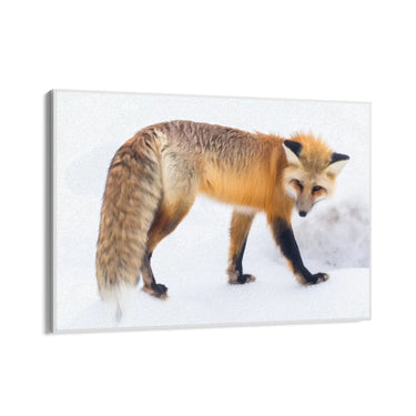 Quadro Stampa su Tela Passi nella Neve - CupidoDesign