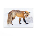 Quadro Stampa su Tela Passi nella Neve - CupidoDesign