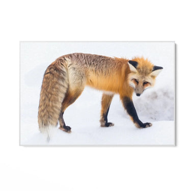 Quadro Stampa su Tela Passi nella Neve - CupidoDesign