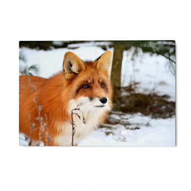 Quadro Stampa su Tela Passi sulla neve Silenziosa - CupidoDesign