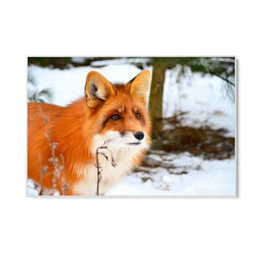 Quadro Stampa su Tela Passi sulla neve Silenziosa - CupidoDesign