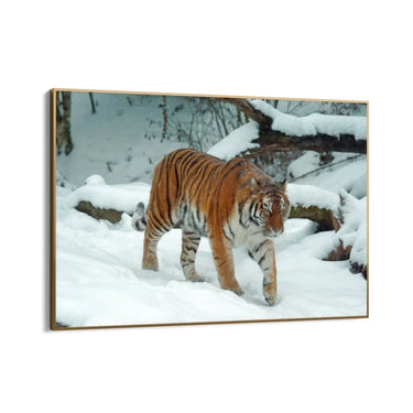 Quadro Stampa su Tela Passi tra le Montagne - CupidoDesign