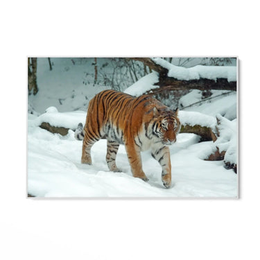 Quadro Stampa su Tela Passi tra le Montagne - CupidoDesign